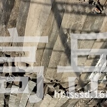 越野滑雪小说